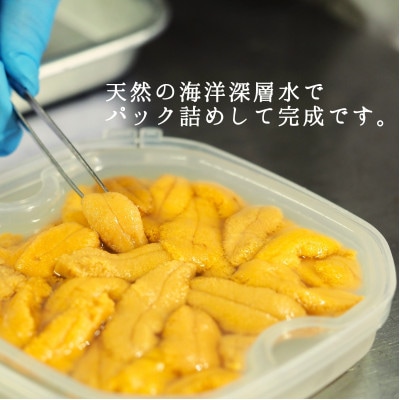 【2025年6月下旬から順次発送】【北海道せたな町産】生鮮生うに(150g×2パック)