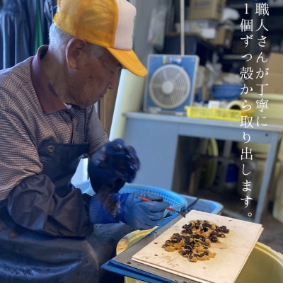 【2025年6月下旬から順次発送】【北海道せたな町産】生鮮生うに(150g×3パック)