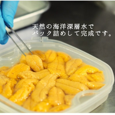 【2025年6月下旬から順次発送】【北海道せたな町産】生鮮生うに(150g×3パック)