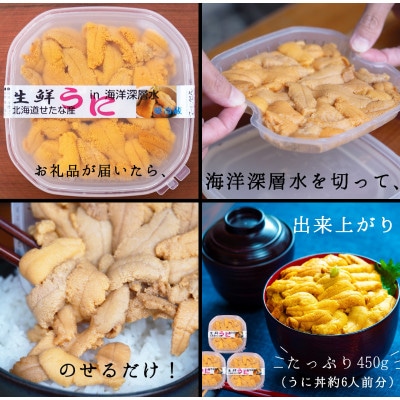 【2025年6月下旬から順次発送】【北海道せたな町産】生鮮生うに(150g×3パック)
