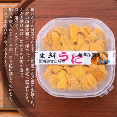 【2026年6月上旬から順次発送】【北海道せたな町産】生鮮生うに(120g×1パック)