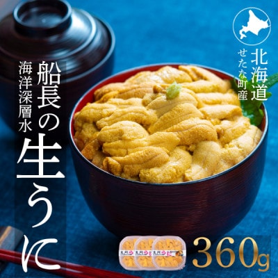 【2026年6月上旬から順次発送】【北海道せたな町産】生鮮生うに(120g×3パック)