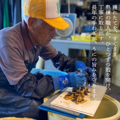 【2026年6月上旬から順次発送】【北海道せたな町産】生鮮生うに(120g×3パック)