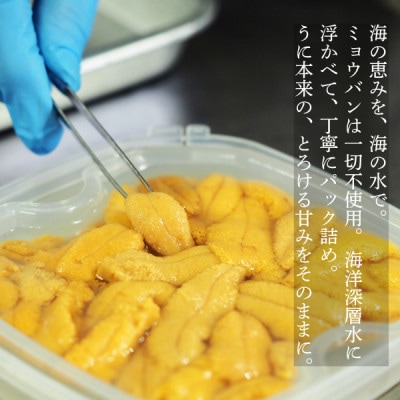 【2026年6月上旬から順次発送】【北海道せたな町産】生鮮生うに(120g×3パック)
