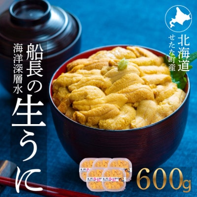【2026年6月上旬から順次発送】【北海道せたな町産】生鮮生うに(120g×5パック)