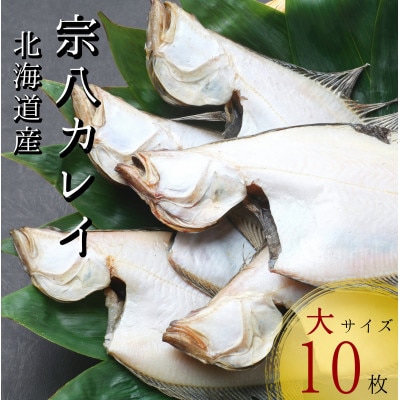 【北海道せたな町産】宗八かれい 一夜干し 大サイズ10枚(約2kg)