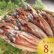 【北海道産】塩さば一夜干し開き大サイズ　300g×8枚(真空パック入り干物)　 | ふるさと納税のお礼品