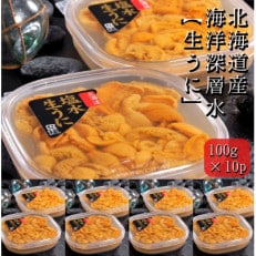 【北海道産】 海洋深層水 生うに(100g&times;10パック)