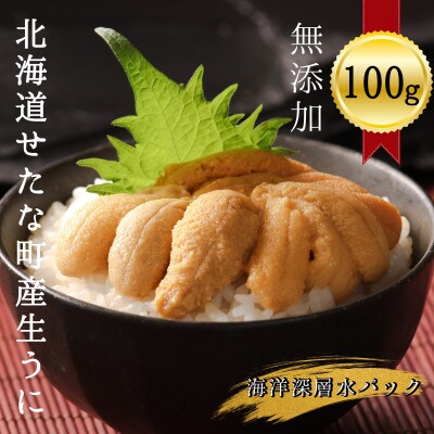 2023年6月より順次発送予定【北海道産】海洋深層水　生うに(100g×1)