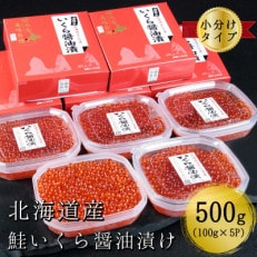 【北海道産】鮭いくら醤油漬け 100g&times;5パック 合計500g