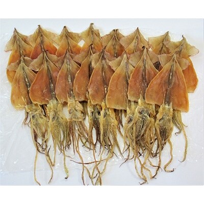 スルメ16枚セット お礼品詳細 ふるさと納税なら さとふる