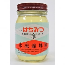 【2024年5月下旬発送】【北海道せたな町産】天然アカシアはちみつ500g