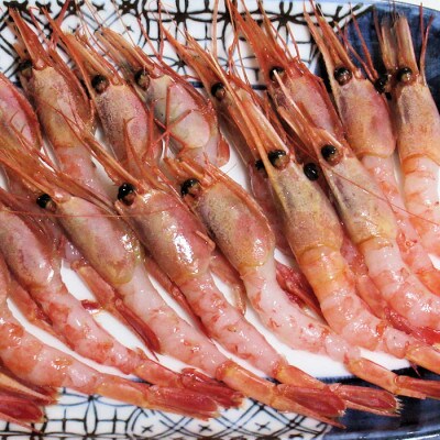 北海道産お刺身用甘えび(殻付き)約500g(40尾前後)