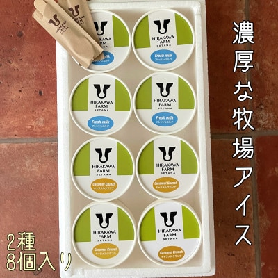 【北海道せたな町産】ひらかわ牧場のしぼりたて生乳で作ったアイスクリーム【牧場おすすめの2種8個入り】