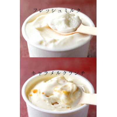 【北海道せたな町産】ひらかわ牧場のしぼりたて生乳で作ったアイスクリーム【牧場おすすめの2種8個入り】