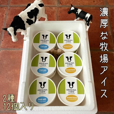 【北海道せたな町産】ひらかわ牧場のしぼりたて生乳で作ったアイスクリーム【牧場おすすめ2種12個入り】