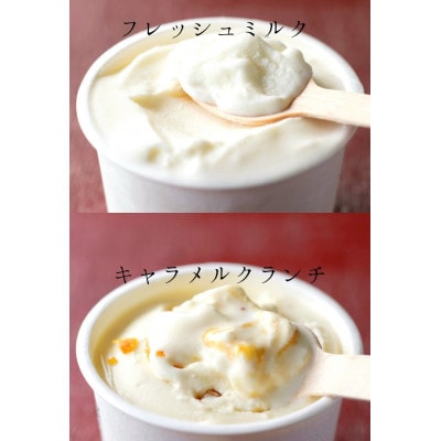 【北海道せたな町産】ひらかわ牧場のしぼりたて生乳で作ったアイスクリーム【牧場おすすめ2種12個入り】