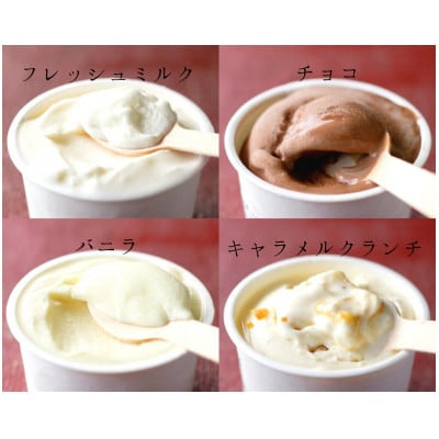 【北海道せたな町産】ひらかわ牧場のしぼりたて生乳で作ったアイスクリーム【人気の4種24個入り】