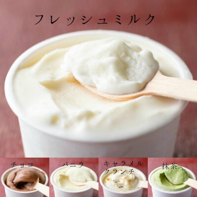 【北海道せたな町産】ひらかわ牧場のしぼりたて生乳で作ったアイスクリーム【定番の5種24個入り】