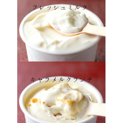 【北海道せたな町産】ひらかわ牧場のしぼりたて生乳で作ったアイスクリーム【牧場おすすめ2種24個入り】