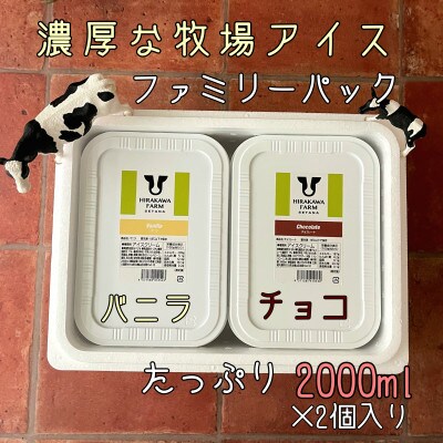 【北海道せたな町産】ひらかわ牧場のしぼりたて生乳で作ったアイスクリーム【2Lパック2個セットB】