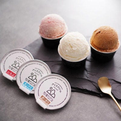 【北海道せたな町産】牧場の山カフェ アイスクリーム 12個セット