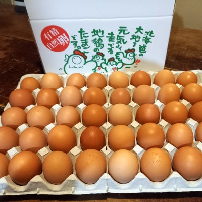 モリガキ農園の平飼い自然有精卵 40個入(割れ保証10個含む)