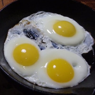 モリガキ農園の平飼い自然有精卵 40個入(割れ保証10個含む)