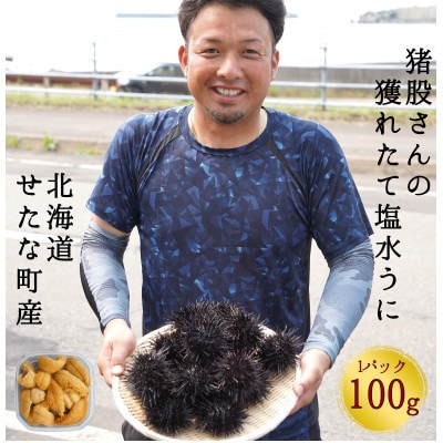 【2025年7月から順次発送】北海道せたな町産 塩水うに(キタムラサキウニ) 100g