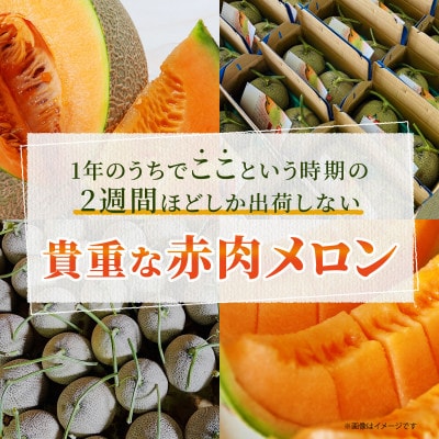 【2025年7月中旬から順次発送】【北海道せたな町産】北紅キング 赤肉メロン 2玉