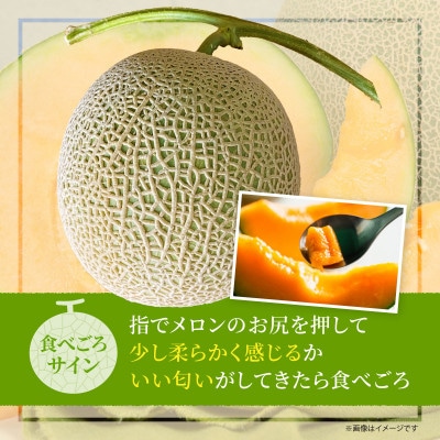 【2026年8月上旬から順次発送】【北海道せたな町産】妃メロン 赤肉メロン 2玉