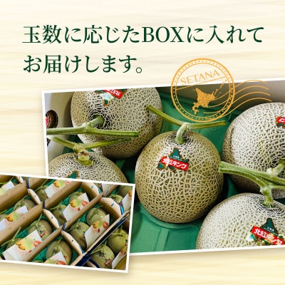 【2026年8月上旬から順次発送】【北海道せたな町産】妃メロン 赤肉メロン 2玉