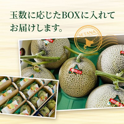 【2026年8月上旬から順次発送】【北海道せたな町産】妃メロン 赤肉メロン 4玉