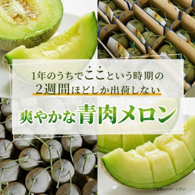 【2026年8月上旬から順次発送】【北海道せたな町産】クレセントメロン 青肉メロン 2玉