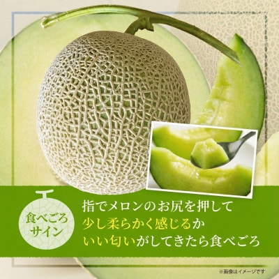 【2026年8月上旬から順次発送】【北海道せたな町産】クレセントメロン 青肉メロン 4玉