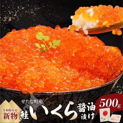 【新物】北海道せたな町産 笹谷商店の鮭いくら醤油漬け 500g