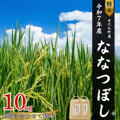 【特Aランク】令和7年産 北海道 せたな町産 ななつぼし 精米 10kg