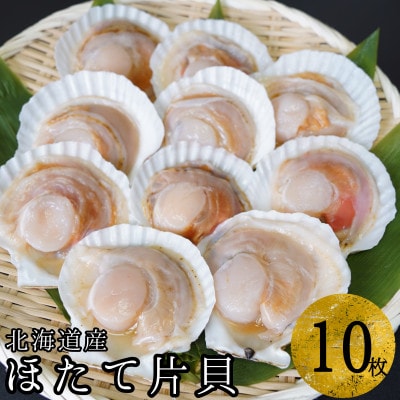 【北海道産】ほたて片貝 10枚入り ウロ処理・洗浄済み殻付きほたて