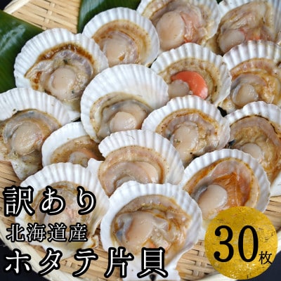 【訳あり】ほたて片貝 30枚入り ウロ処理・洗浄済み殻付きほたて
