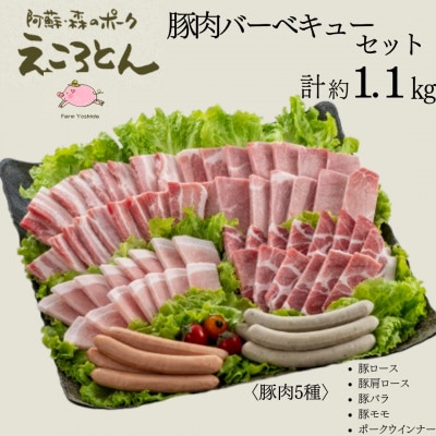 えころとん・豚肉(5種)計約1.1kg・豚肉バーベキューセット　【ファームヨシダ】