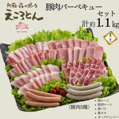 【のし付】えころとん・豚肉(5種)計約1.1kg・豚肉バーベキューセット【ファームヨシダ】