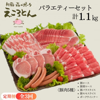 【毎月定期便】えころとん・豚肉(5種)合計1.1kg・バラエティーセット　全3回