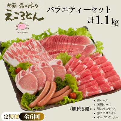 【毎月定期便】えころとん・豚肉(5種)合計1.1kg・バラエティーセット　全6回