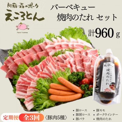 【毎月定期便】えころとん・豚肉(5種)合計960g　バーベキュー・焼肉のたれセット全3回