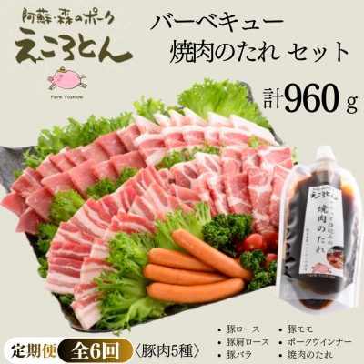 【毎月定期便】えころとん・豚肉(5種)　合計960g　バーベキュー・焼肉のたれセット全6回
