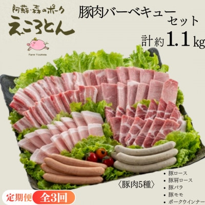 【毎月定期便】えころとん・豚肉(5種)合計約1.1kg・豚肉バーベキューセット　全3回