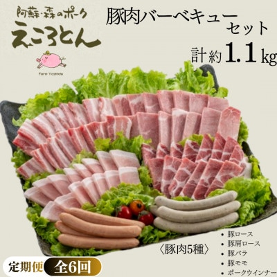 【毎月定期便】えころとん・豚肉(5種)合計約1.1kg・豚肉バーベキューセット　全6回