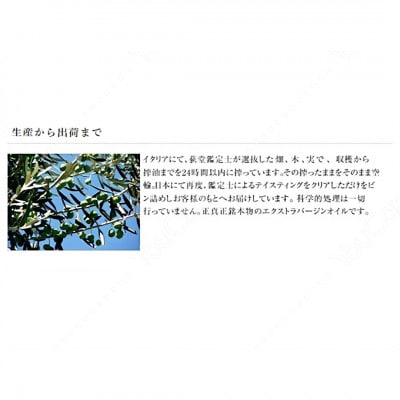 白絞油・有機オリーブオイル詰合せ(2本セット)(白絞油 600g、有機オリーブオイル 250g)