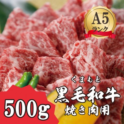 【A5ランク】くまもと黒毛和牛 焼肉用500g(大津町)