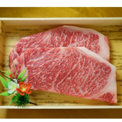 GI認証 くまもとあか牛サーロインステーキ 200g×2(大津町)